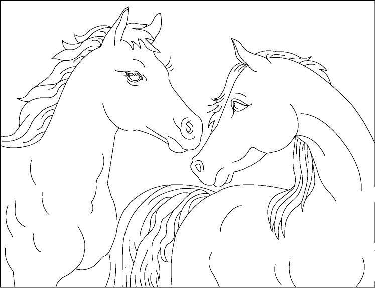 horse coloring pages couple Coloring4free
