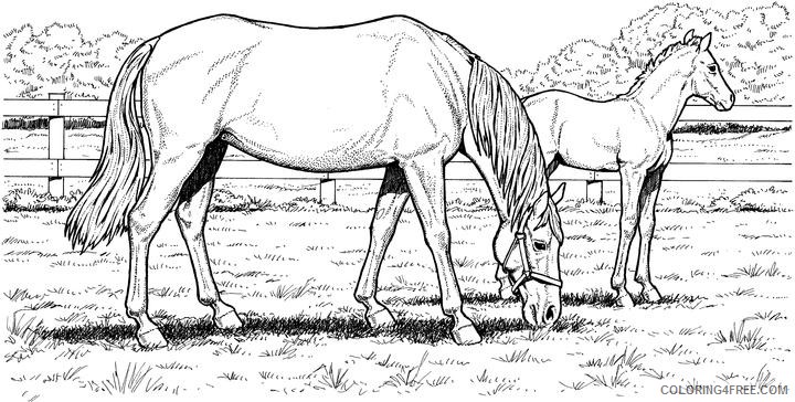 horse coloring pages eating grass Coloring4free