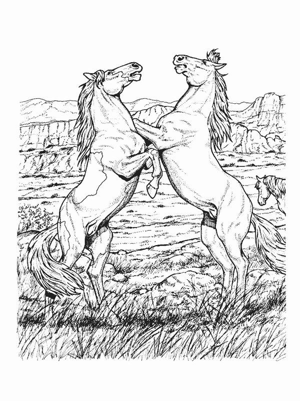 horse coloring pages fighting Coloring4free