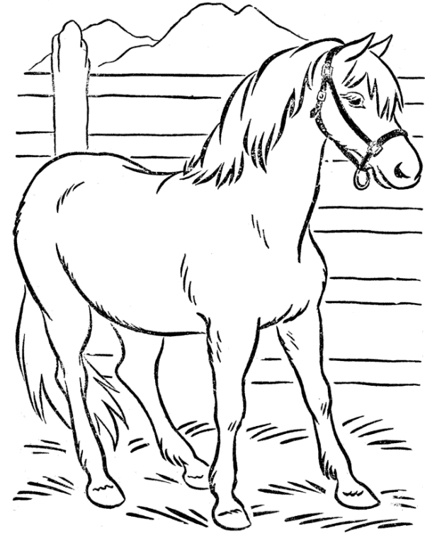 horse coloring pages in farm Coloring4free