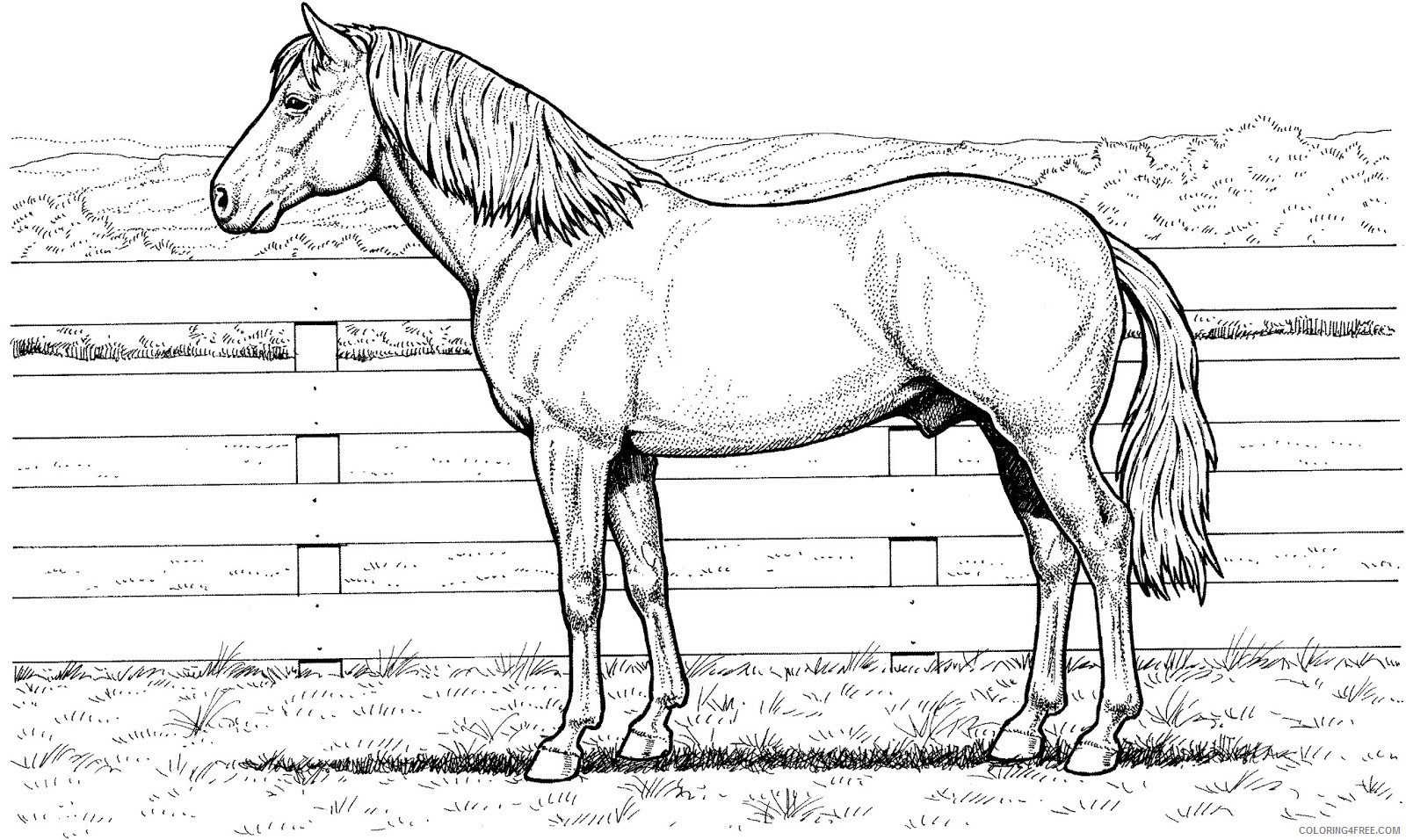 horse coloring pages realistic Coloring4free