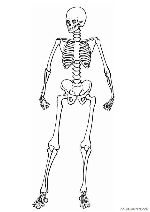 human skeleton coloring pages Coloring4free