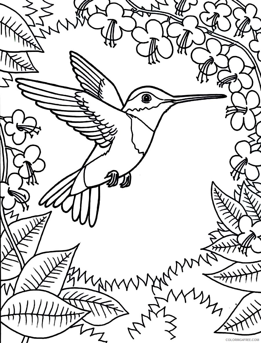 hummingbird coloring pages flowers and leaves Coloring4free