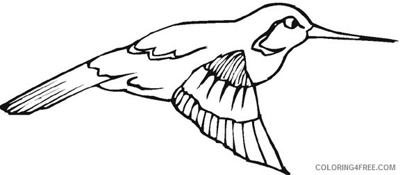 hummingbird coloring pages flying Coloring4free