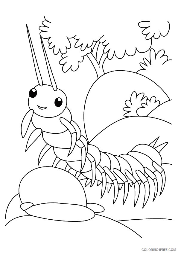insect coloring pages centipede Coloring4free