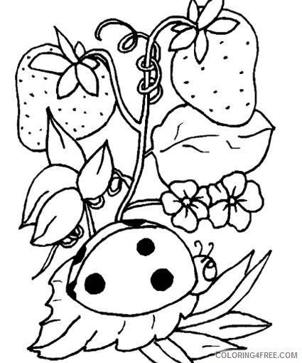 insect coloring pages ladybug in strawberry tree Coloring4free