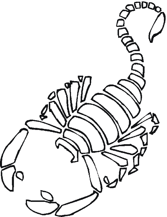 insect coloring pages scorpion Coloring4free
