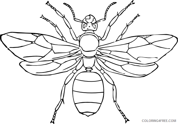 insect coloring pages wasp Coloring4free