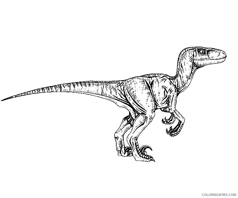 jurassic park coloring pages velociraptor Coloring4free