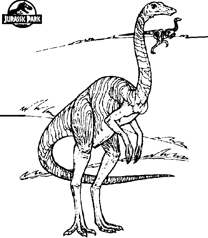 jurassic park raptor coloring pages Coloring4free