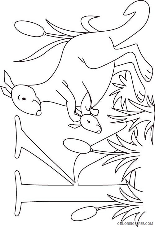 k for kangaroo coloring pages Coloring4free