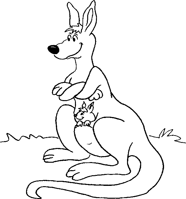 kangaroo coloring pages with joey in pouch Coloring4free