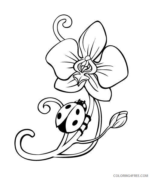 ladybug coloring pages on flower Coloring4free