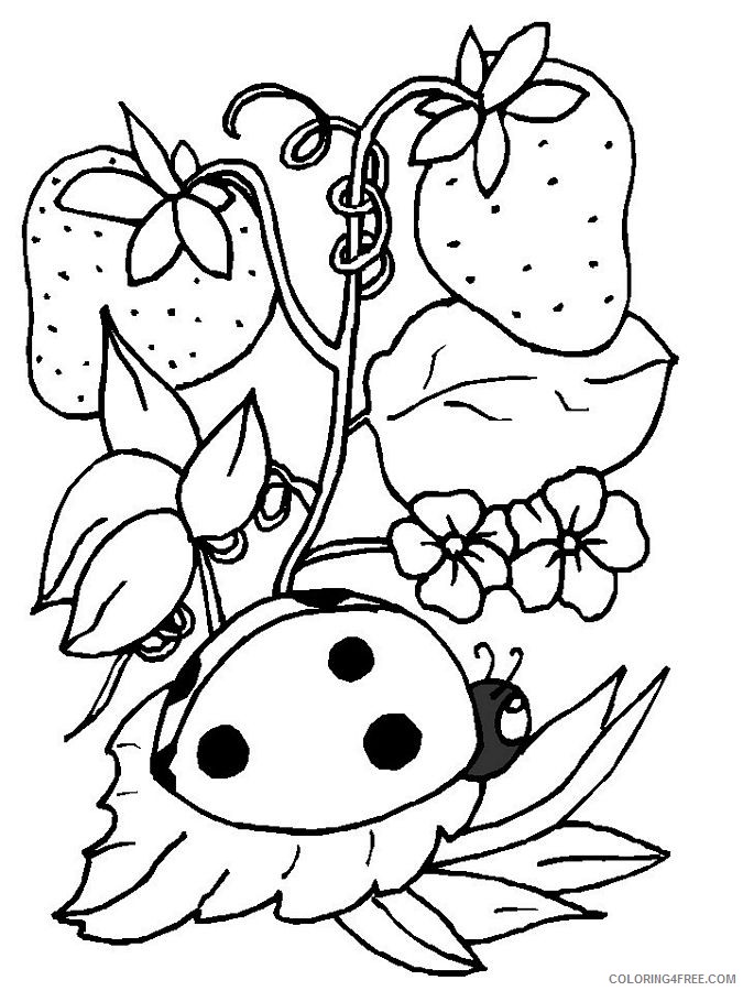 ladybug coloring pages on strawberry tree Coloring4free