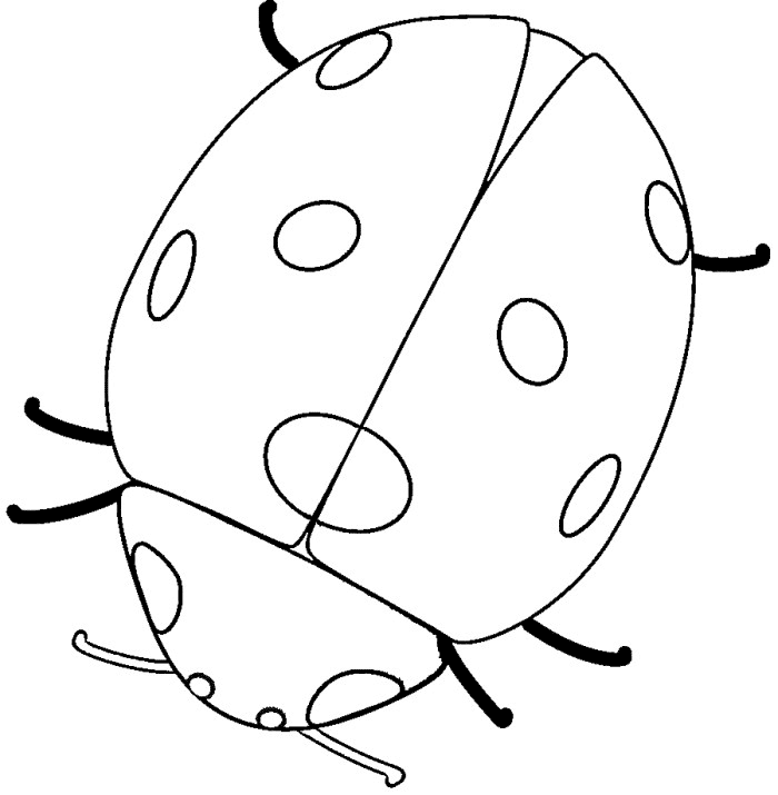 ladybug coloring pages printable Coloring4free