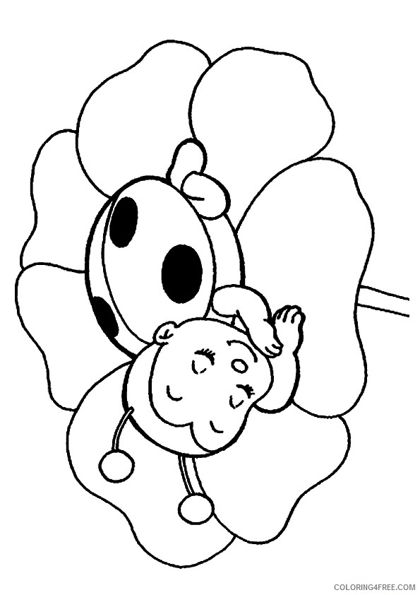 ladybug coloring pages sleeping on a flower Coloring4free