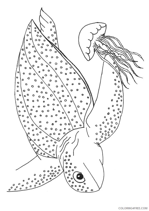leatherback sea turtle coloring pages Coloring4free