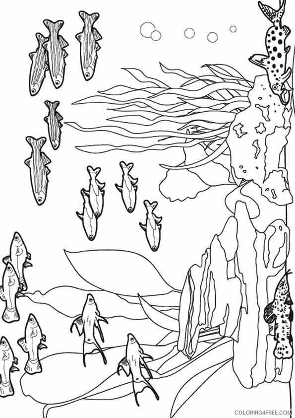 life of under the sea coloring pages Coloring4free