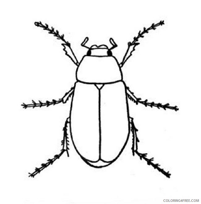 lightning bug coloring pages Coloring4free