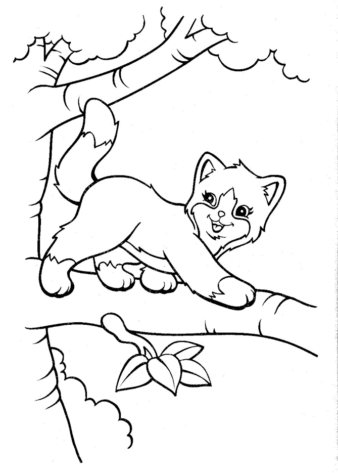 lisa frank coloring pages cat on tree Coloring4free