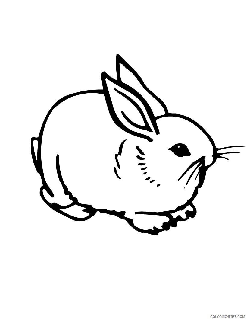 little rabbit coloring pages Coloring4free