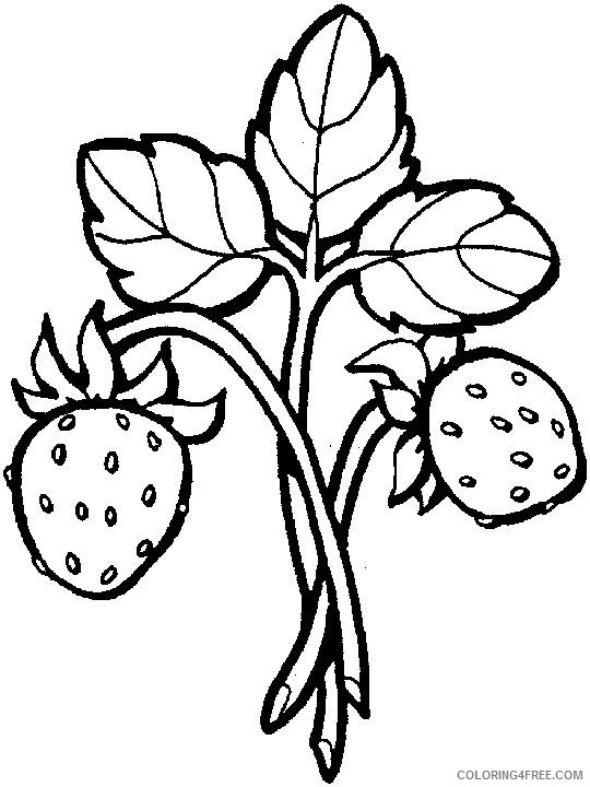 little strawberry coloring pages Coloring4free