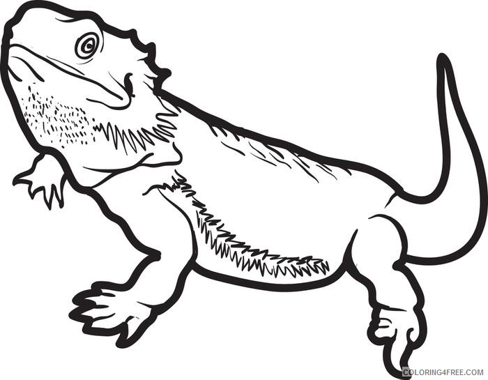 lizard coloring pages bearded dragon Coloring4free