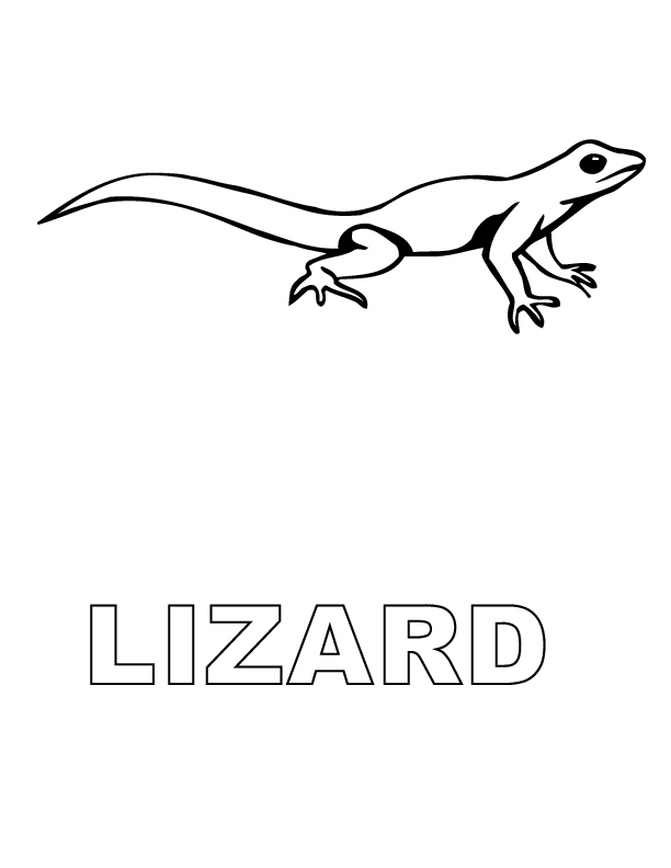 lizard coloring pages for kids Coloring4free