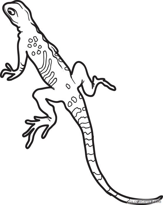 lizard coloring pages for kids printable Coloring4free