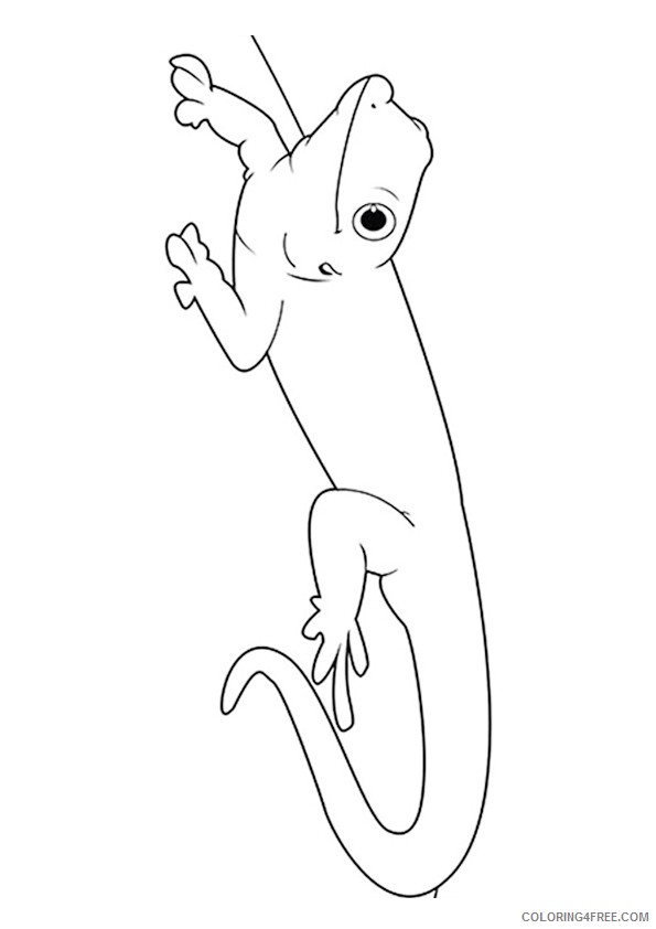 lizard coloring pages for toddler Coloring4free