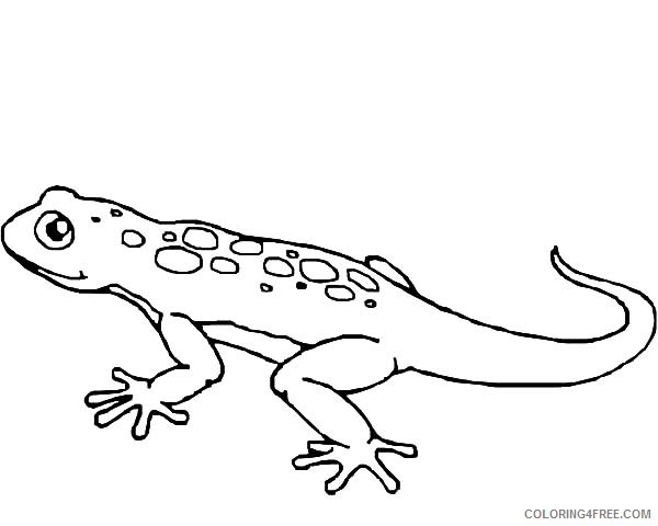 lizard coloring pages free to print Coloring4free