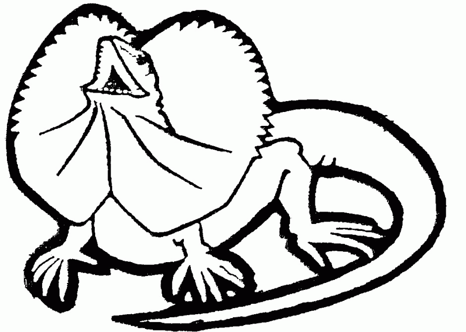 lizard coloring pages frilled neck Coloring4free