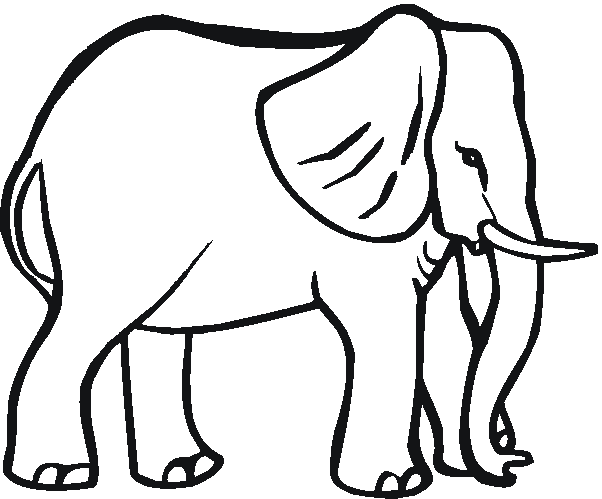 male elephant coloring pages Coloring4free