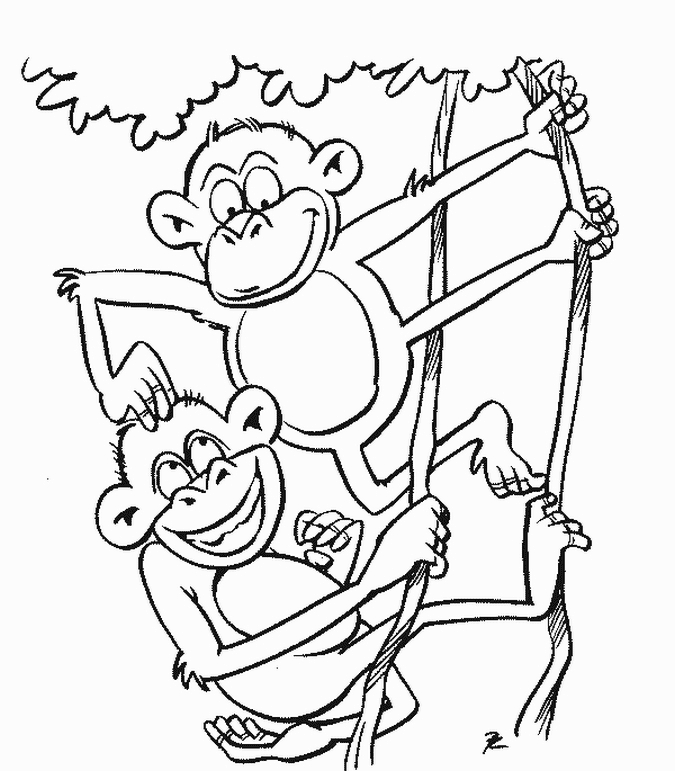 monkey coloring pages two monkeys Coloring4free