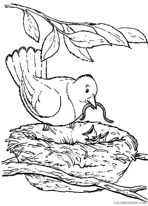 nature coloring pages bird nest Coloring4free