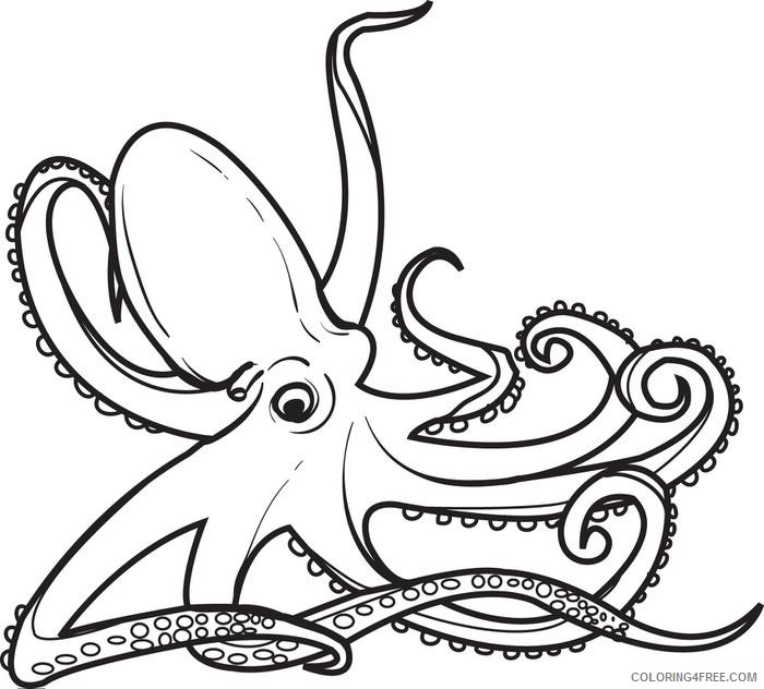octopus coloring pages to print Coloring4free