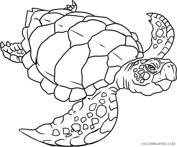 old sea turtle coloring pages Coloring4free