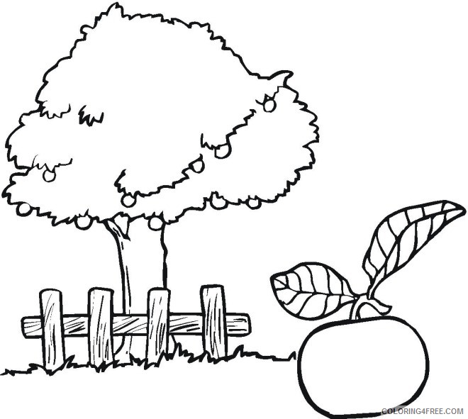 orange tree coloring pages Coloring4free
