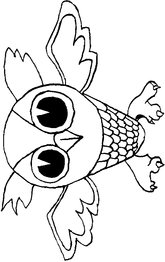 owl coloring pages for kindergarten Coloring4free