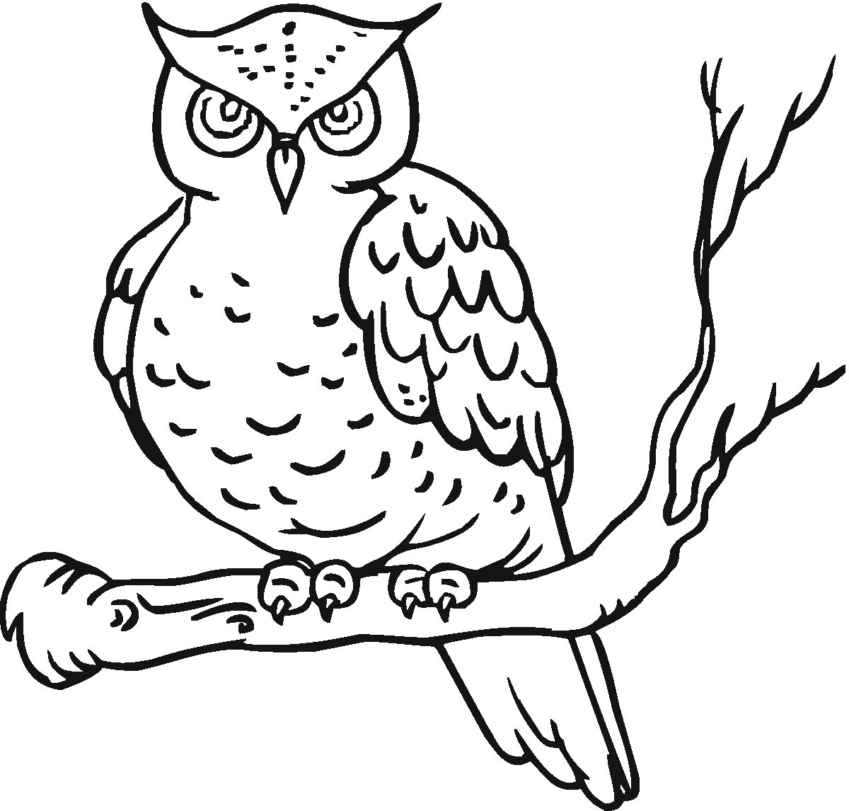 owl coloring pages perched on branch Coloring4free