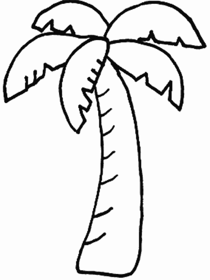palm tree coloring pages for kids Coloring4free