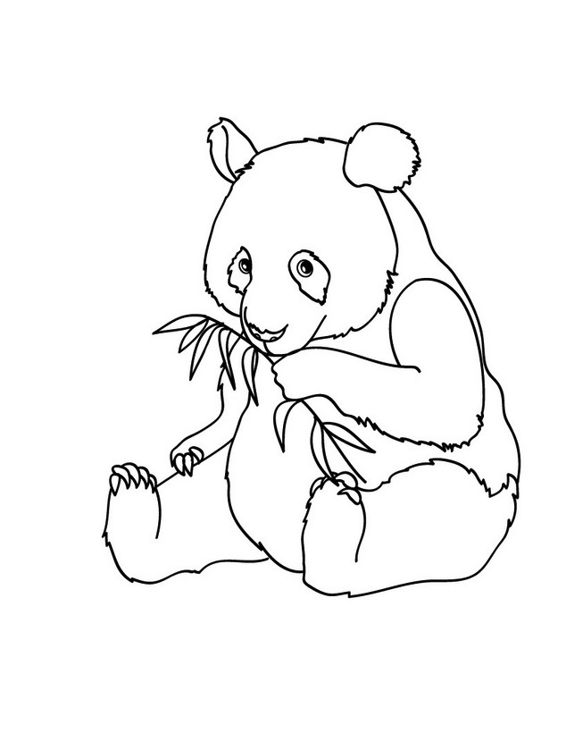 panda coloring pages eat bamboo Coloring4free
