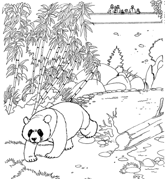 panda coloring pages in zoo Coloring4free
