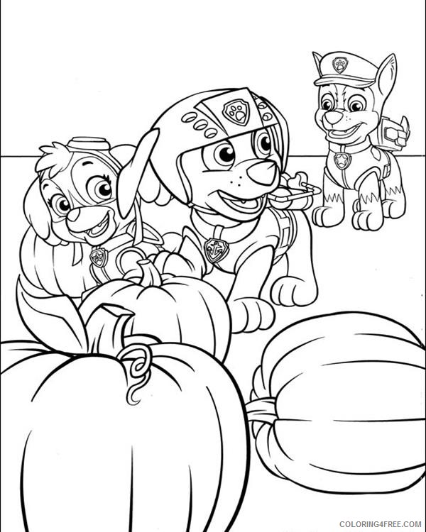 paw patrol coloring pages in pumpkin patch Coloring4free