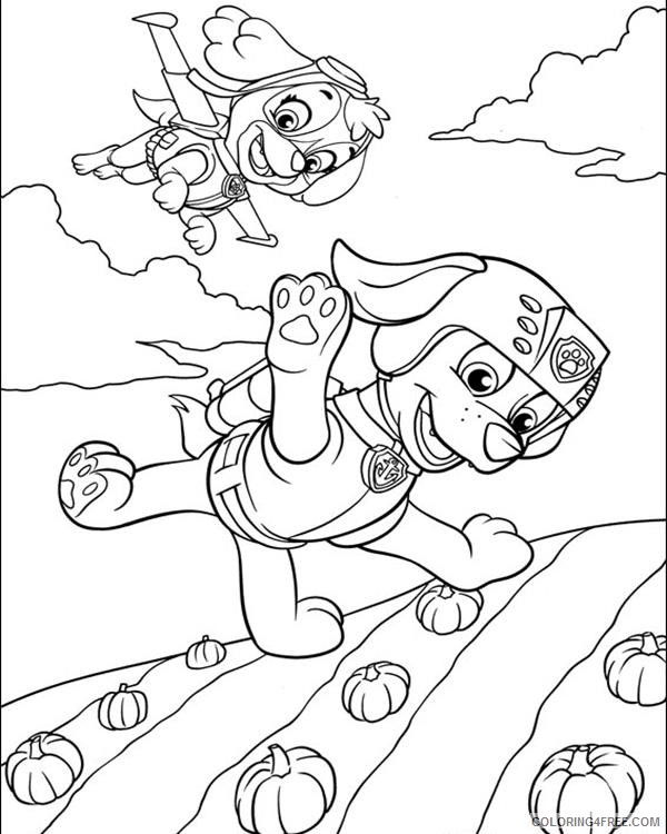 paw patrol coloring pages skye and zuma flying Coloring4free