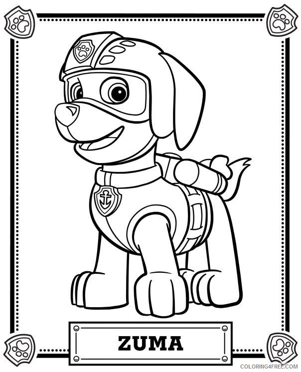 paw patrol coloring pages zuma Coloring4free