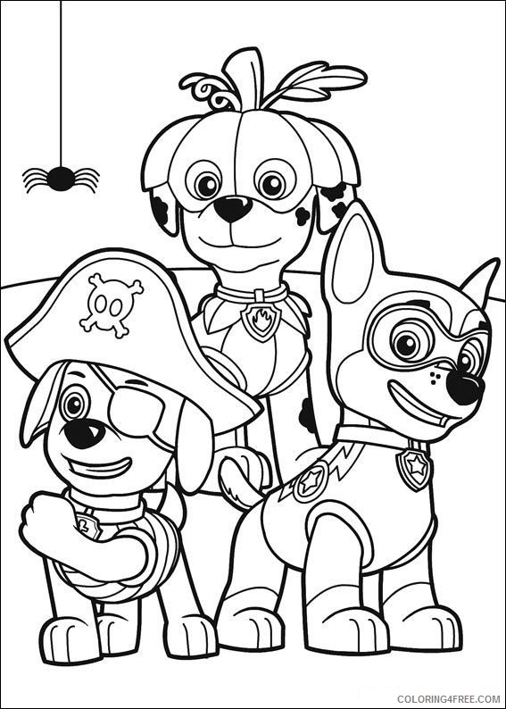 paw patrol coloring pages zuma marshall and chase Coloring4free
