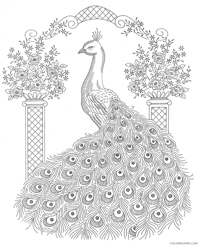 peacock coloring pages for adults Coloring4free