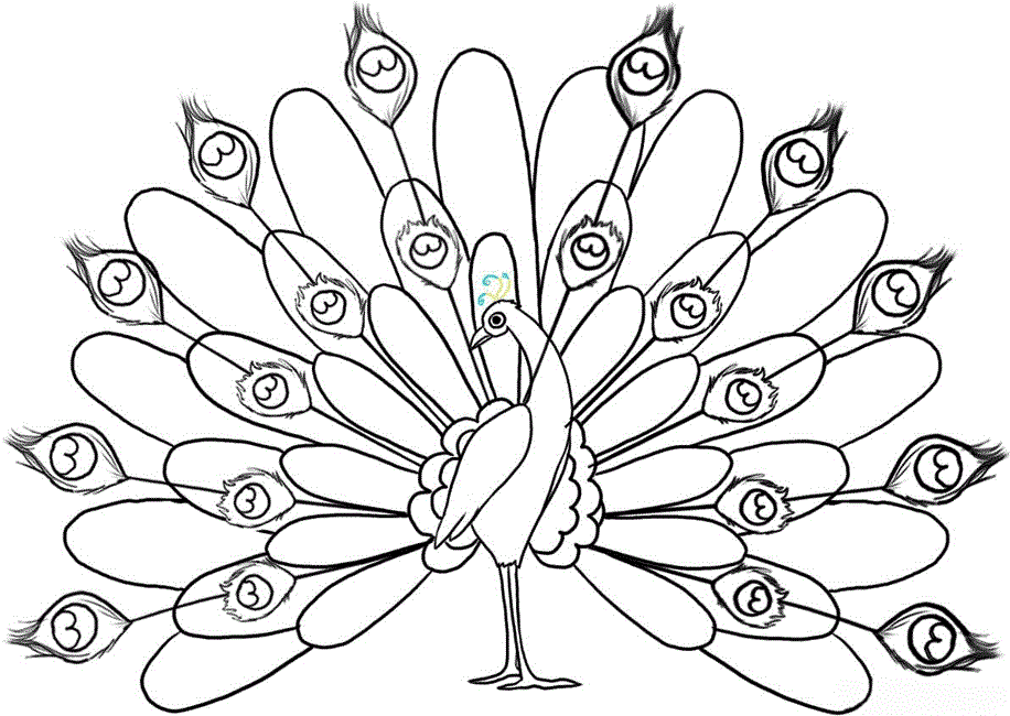 peacock coloring pages printable Coloring4free