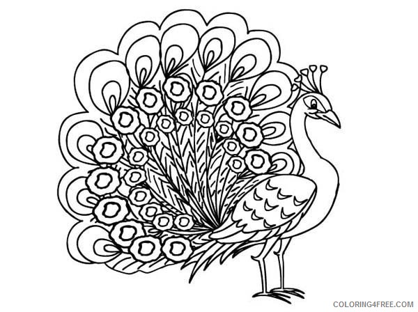peacock coloring pages tail expand Coloring4free
